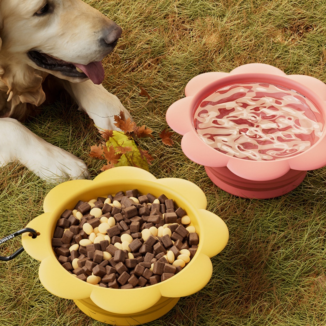 Flower Foldable Silicone Pet Bowl - Image 5