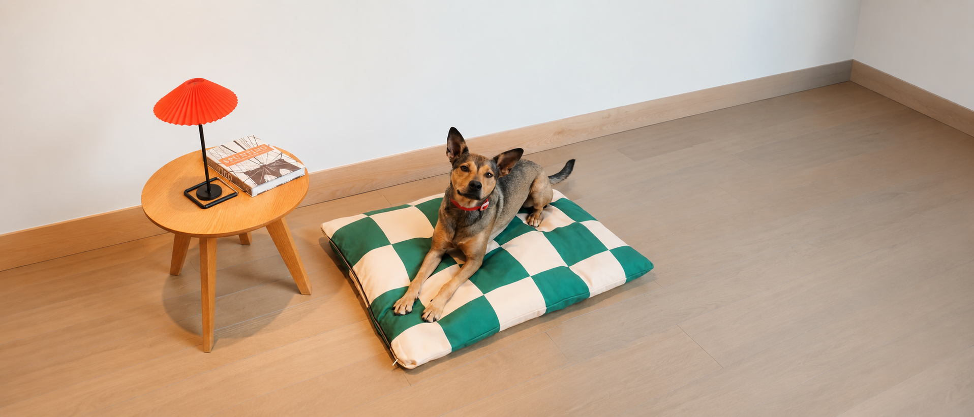 Everyday moments with pets