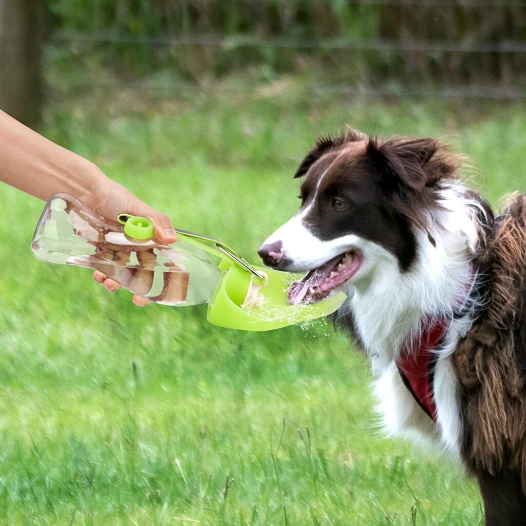 Leak-Proof Pet Water Bottle with Bowl