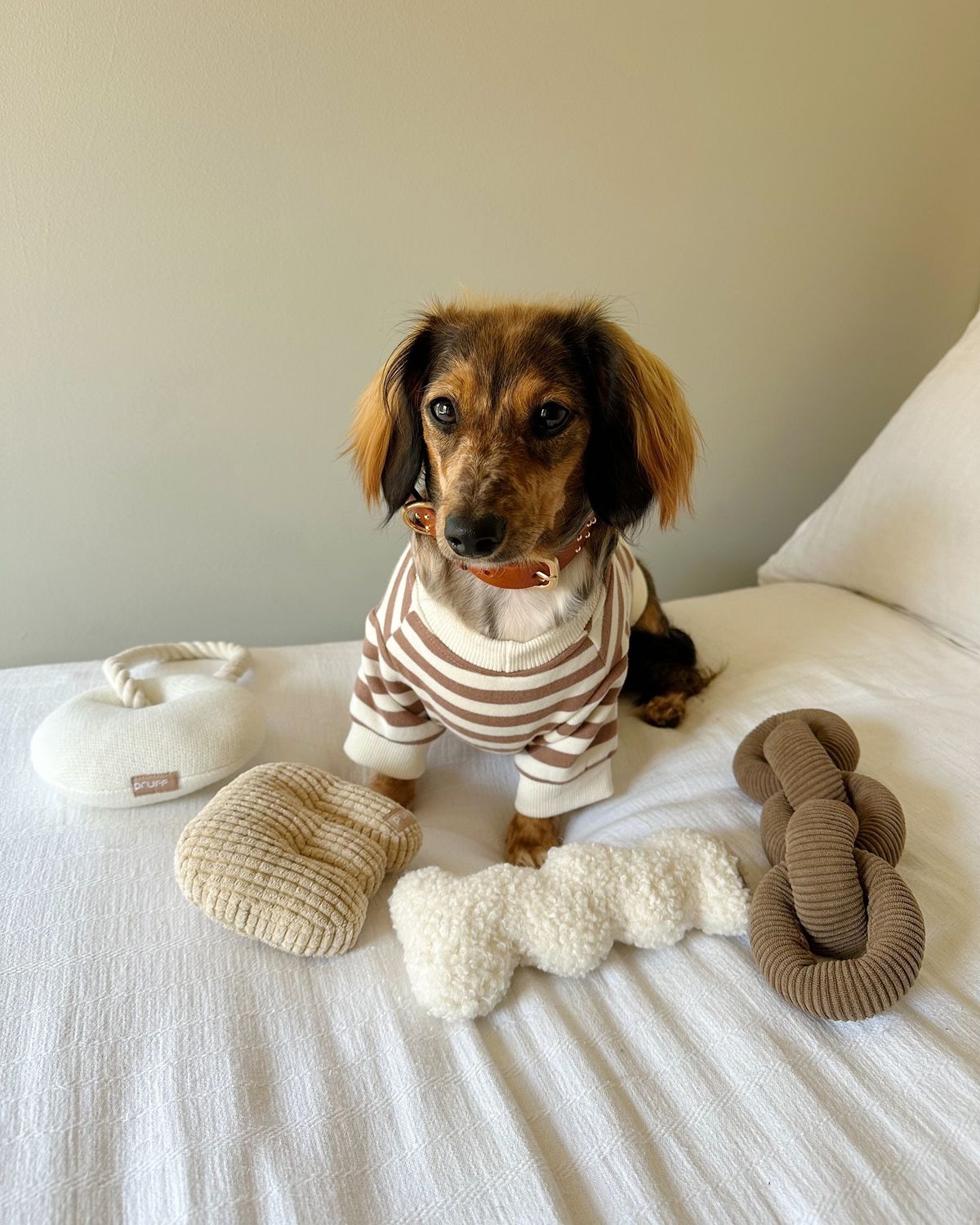 Pet Knits