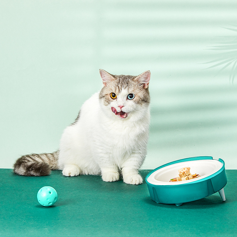 Disposable Pet Food Bowl with Holder