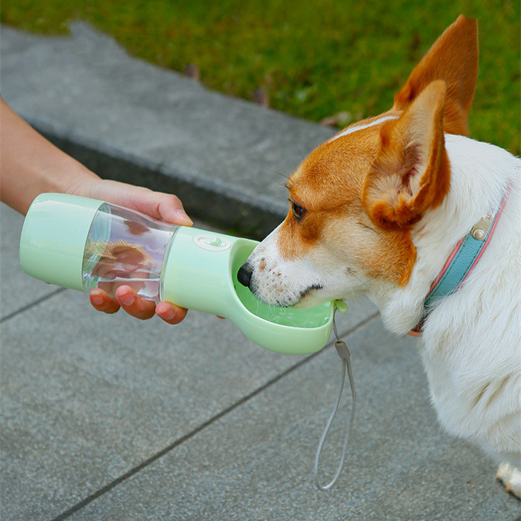 Large Capacity Pet Travel Water Bottle