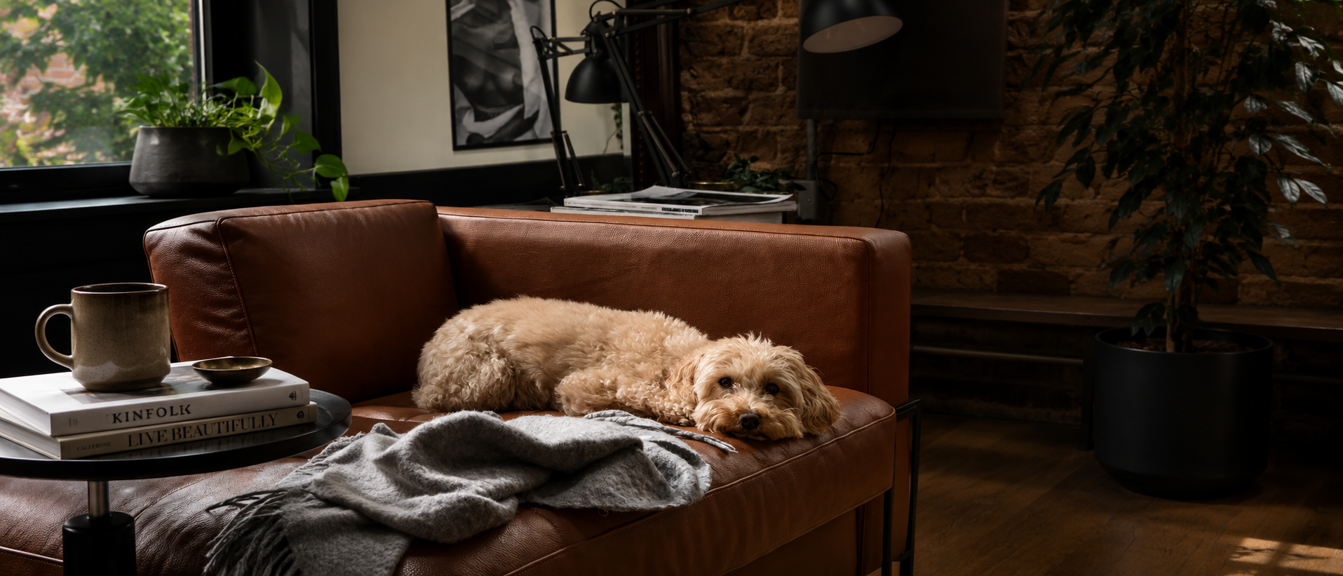 Shared life with pets