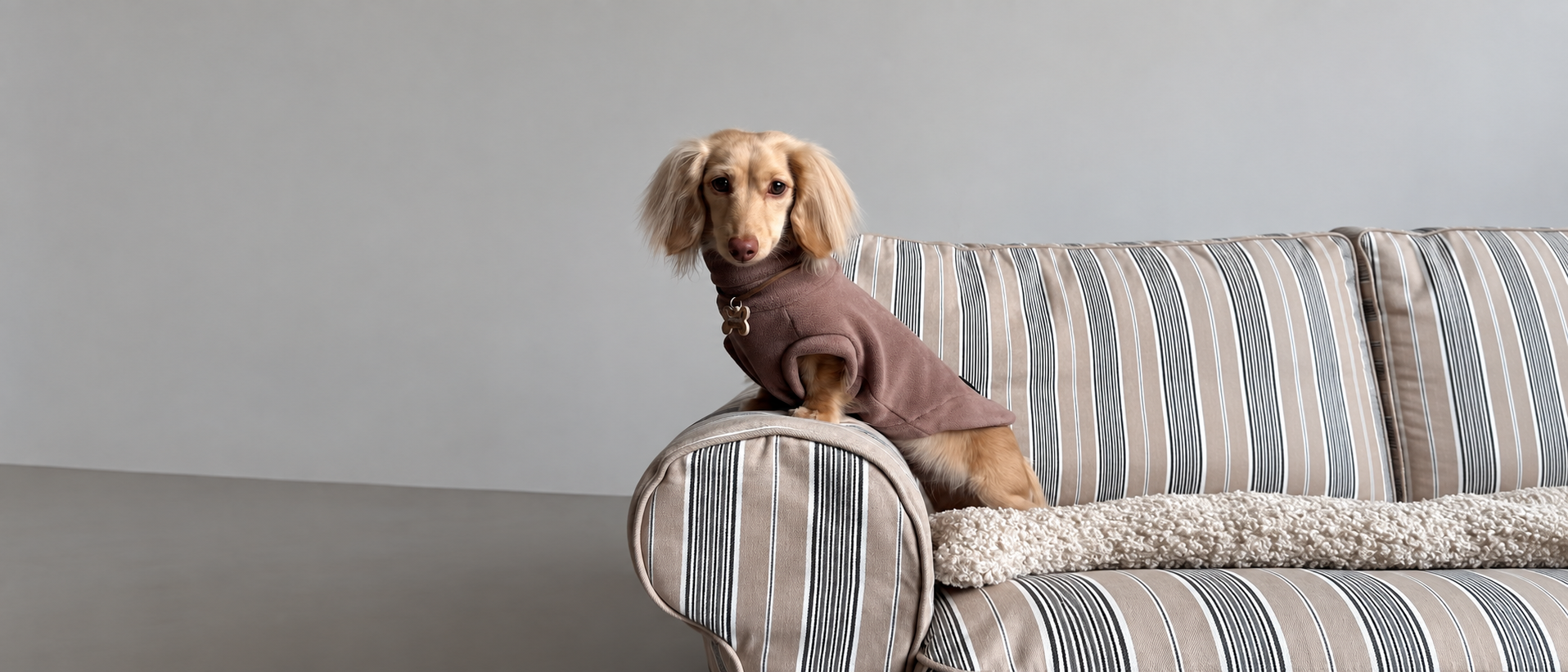 Pet Knits