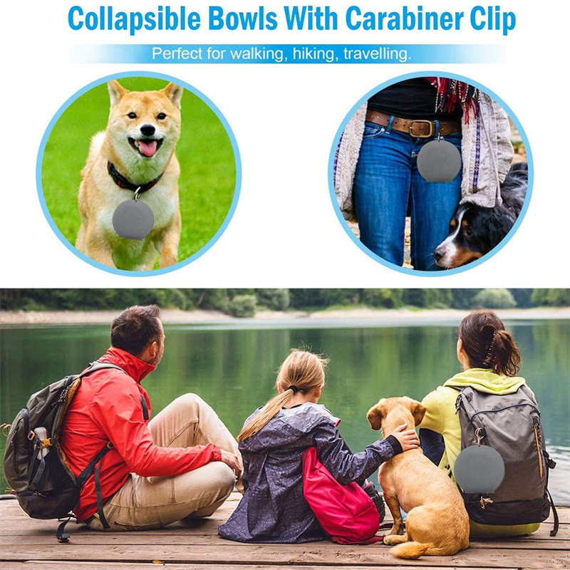 Foldable Double Pet Feeding Bowl - Image 6