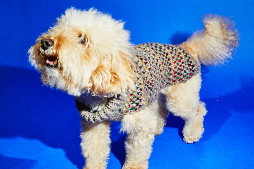 Contrast Stitch Turtleneck Beige for Dogs