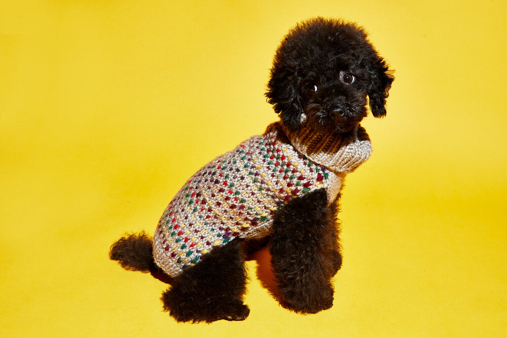 Contrast Stitch Turtleneck Beige for Dogs