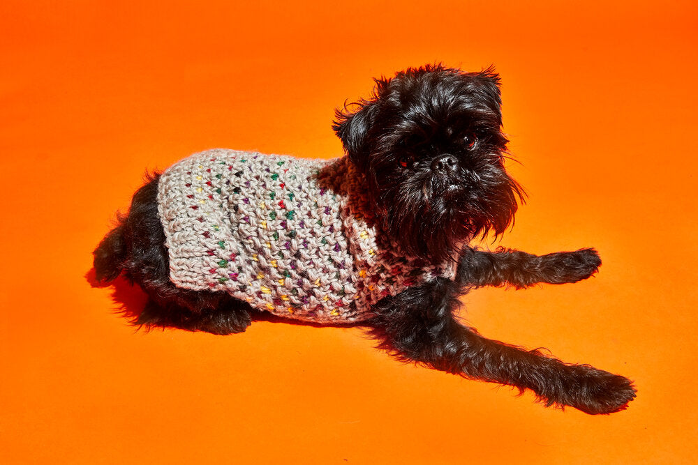 Contrast Stitch Turtleneck Beige for Dogs