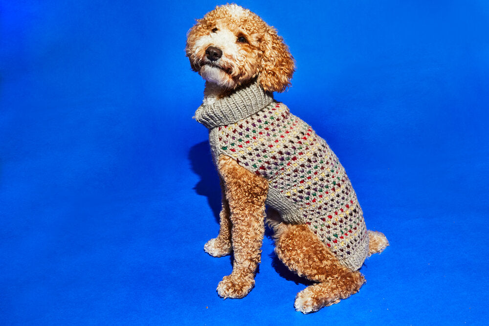 Contrast Stitch Turtleneck Beige for Dogs