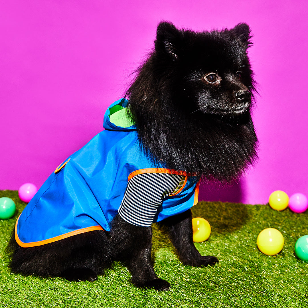 Neon Color Block Raincoat for Dogs