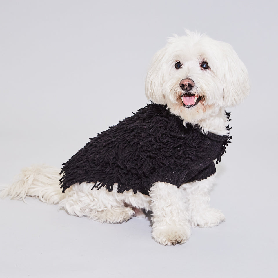 Black Textured Knit Sweater for Dogs