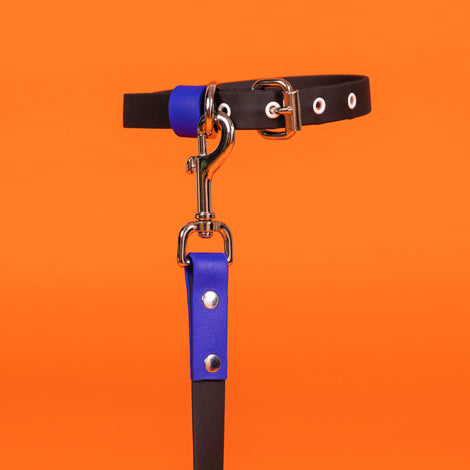 Black and Royal Blue Waterproof Leash