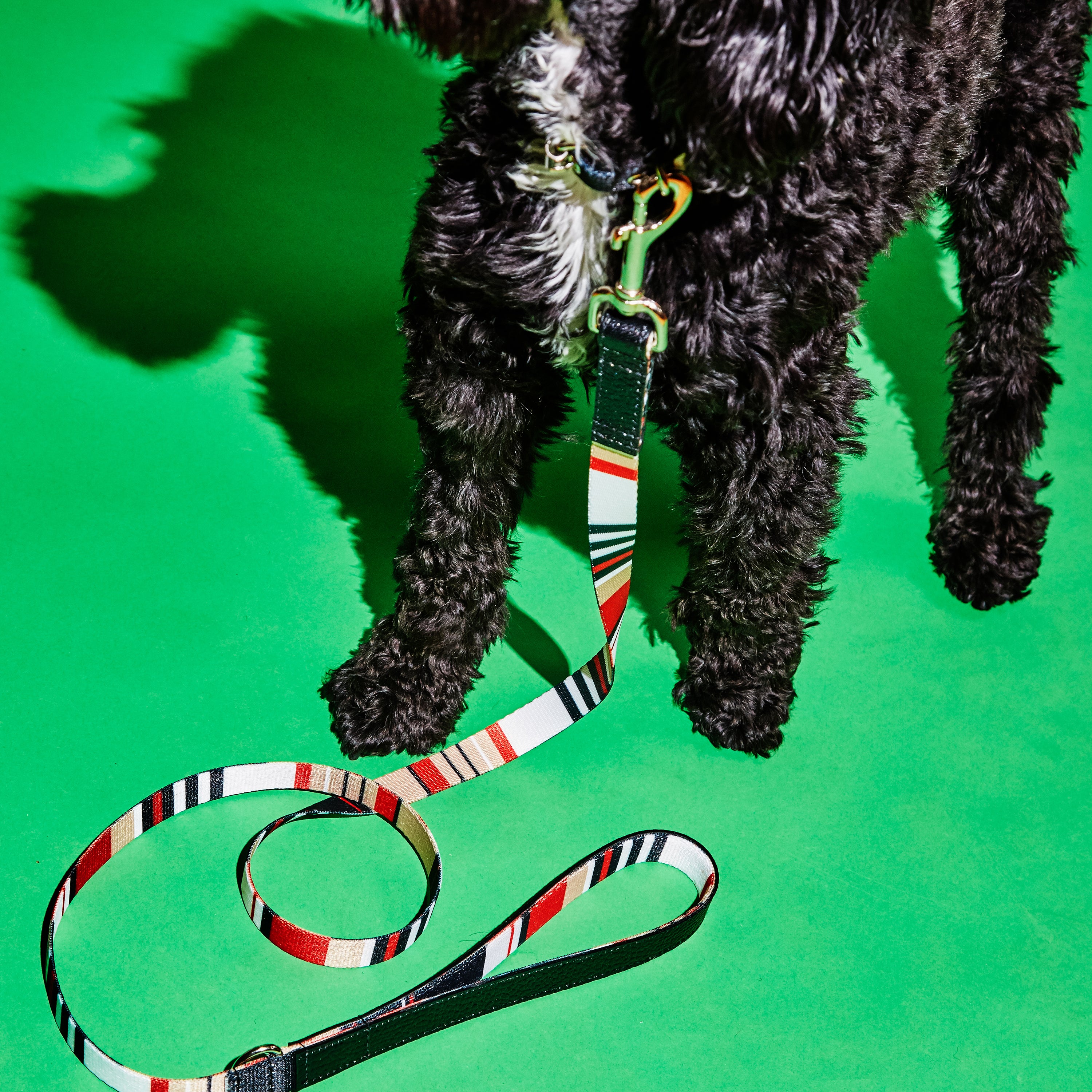 Red Multi and Black Striped Webbing Leash