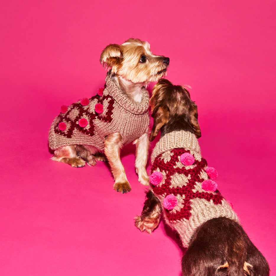 Knitted Burgundy and Pink Pom Pom Sweater for Dogs