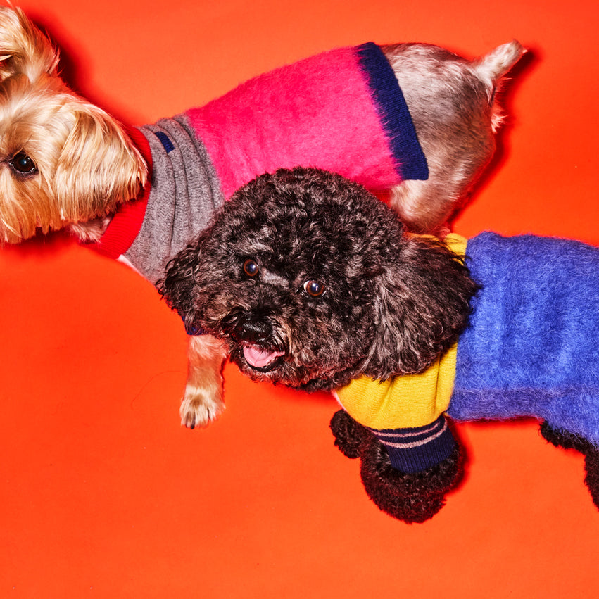 Pink and Grey Textured Stripe Sweater for Dogs