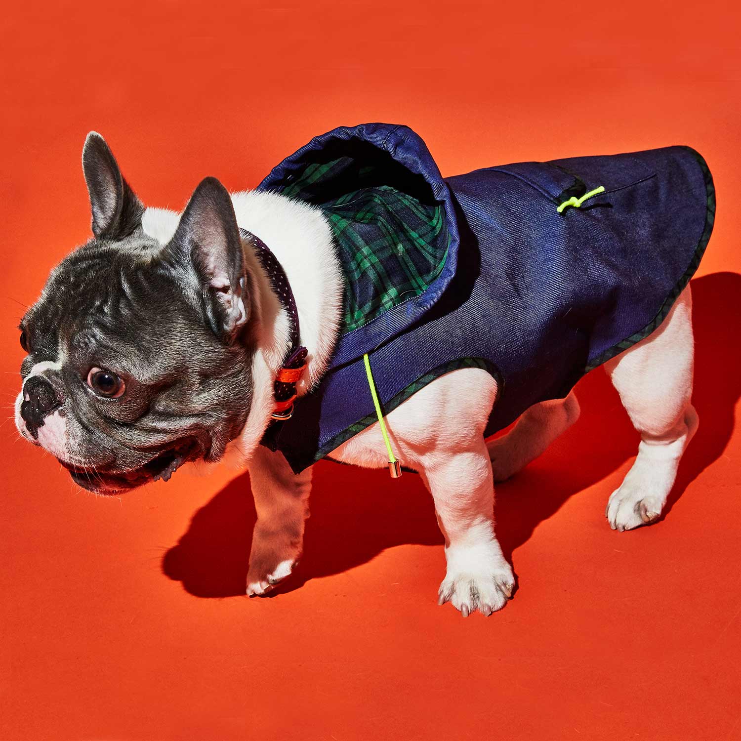 Blue Tartan Plaid Trim Anorak Raincoat for Dogs