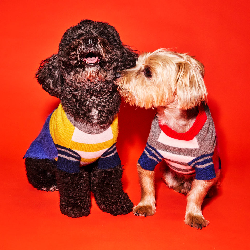 Pink and Grey Textured Stripe Sweater for Dogs