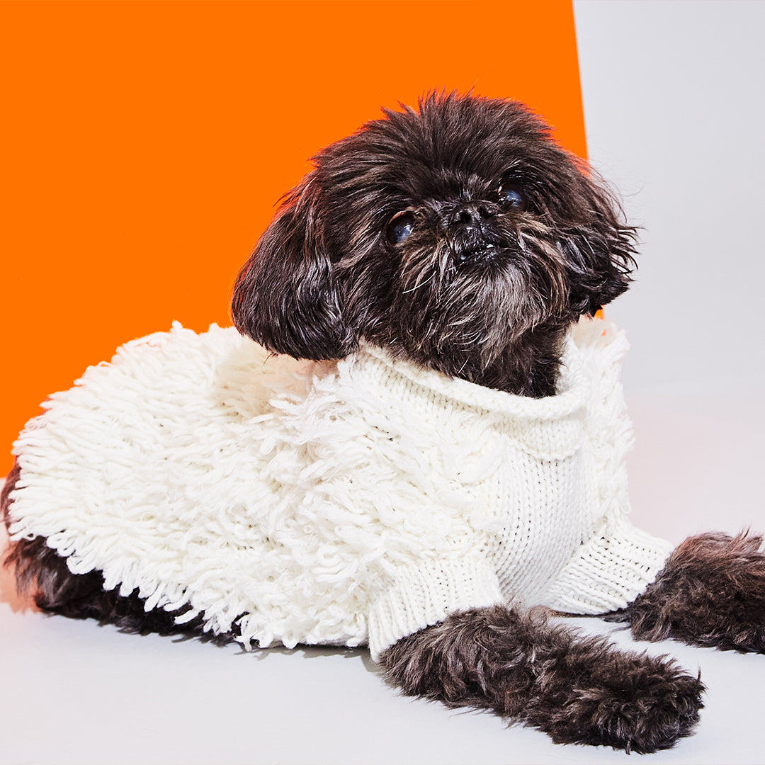 Ivory Textured Knit Sweater for Dogs
