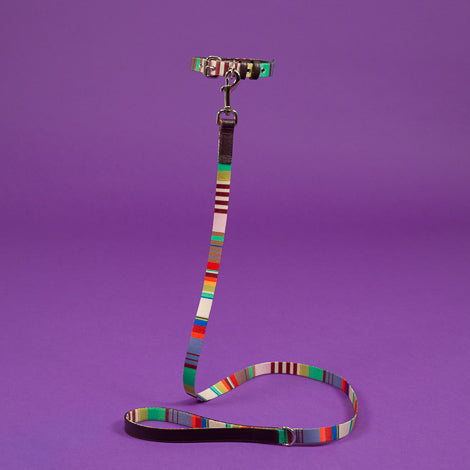 Lavender and Burgundy Striped Webbing Leash