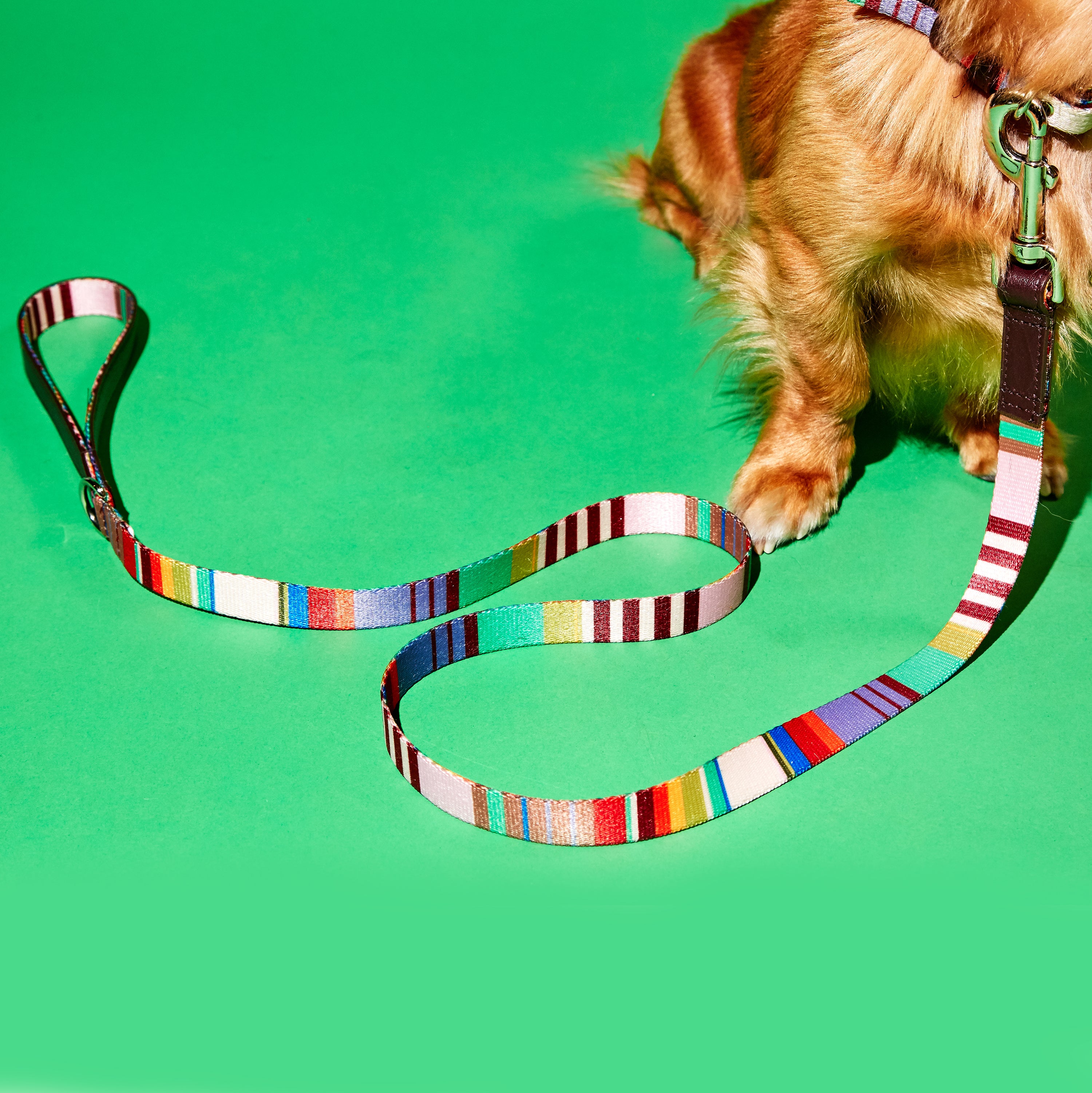 Lavender and Burgundy Striped Webbing Leash