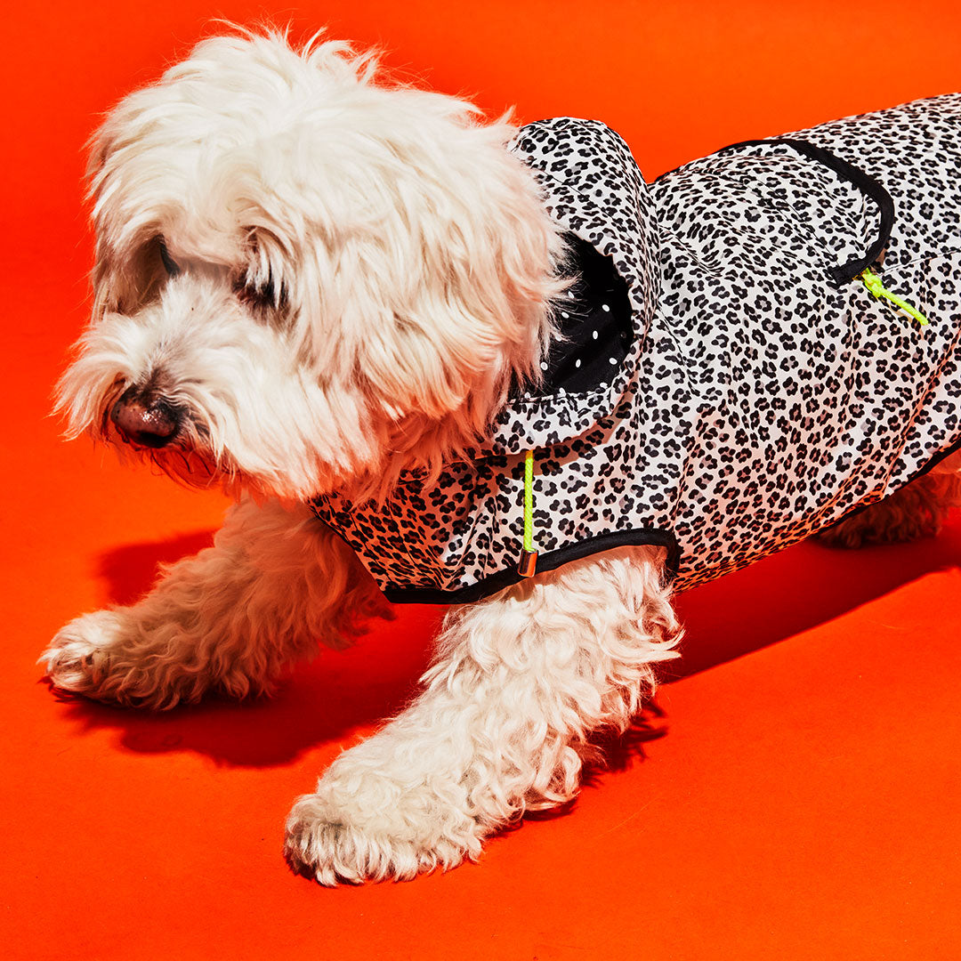 Black and White Leopard Print Raincoat with Hood