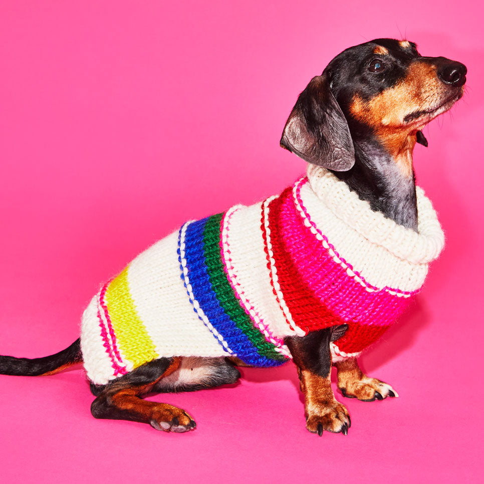 Neon Striped Turtleneck Sweater for Dogs