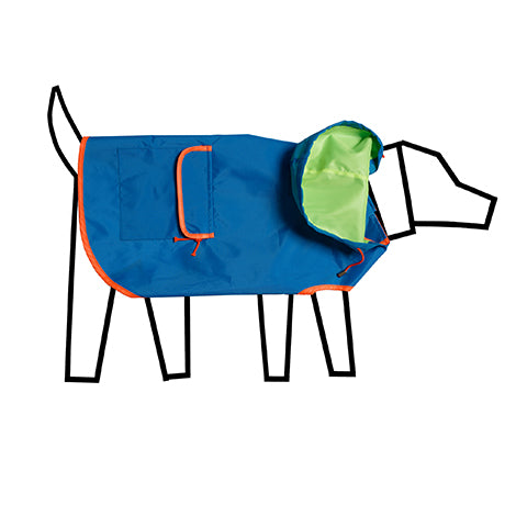 Neon Color Block Raincoat for Dogs