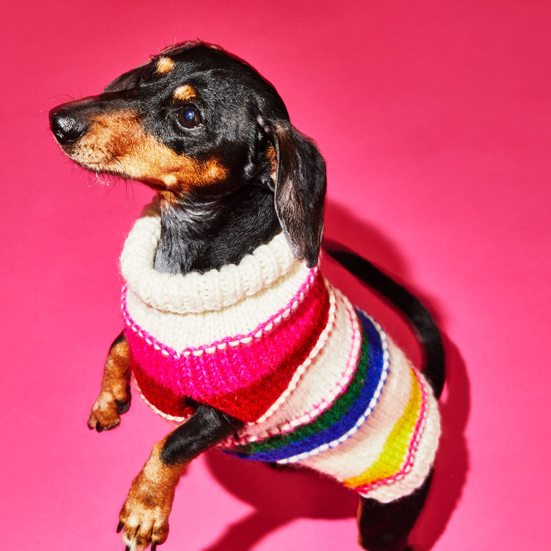 Neon Striped Turtleneck Sweater for Dogs