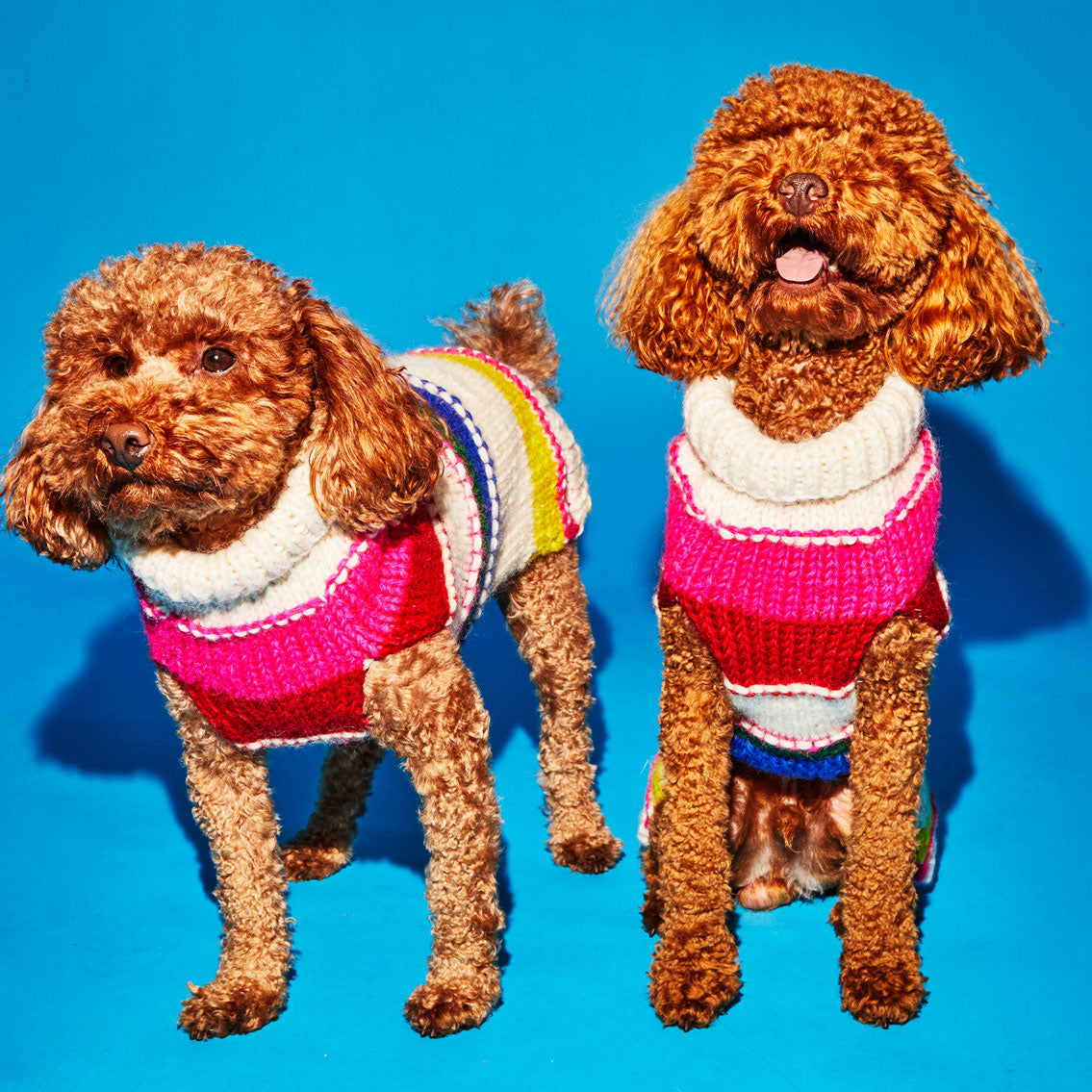Neon Striped Turtleneck Sweater for Dogs