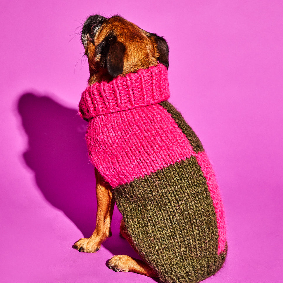 Checkered Sweater Olive and Pink for Dogs