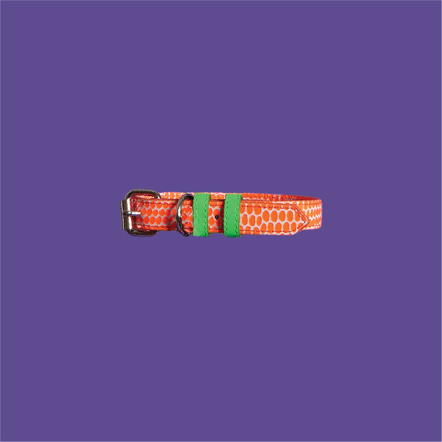 Neon Orange and Green Embossed Dot Leather Leash