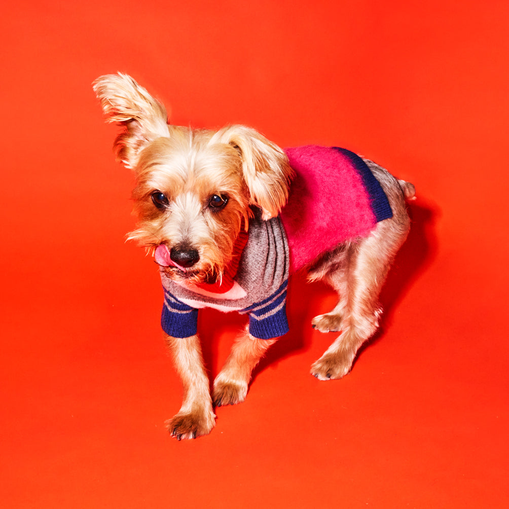 Pink and Grey Textured Stripe Sweater for Dogs
