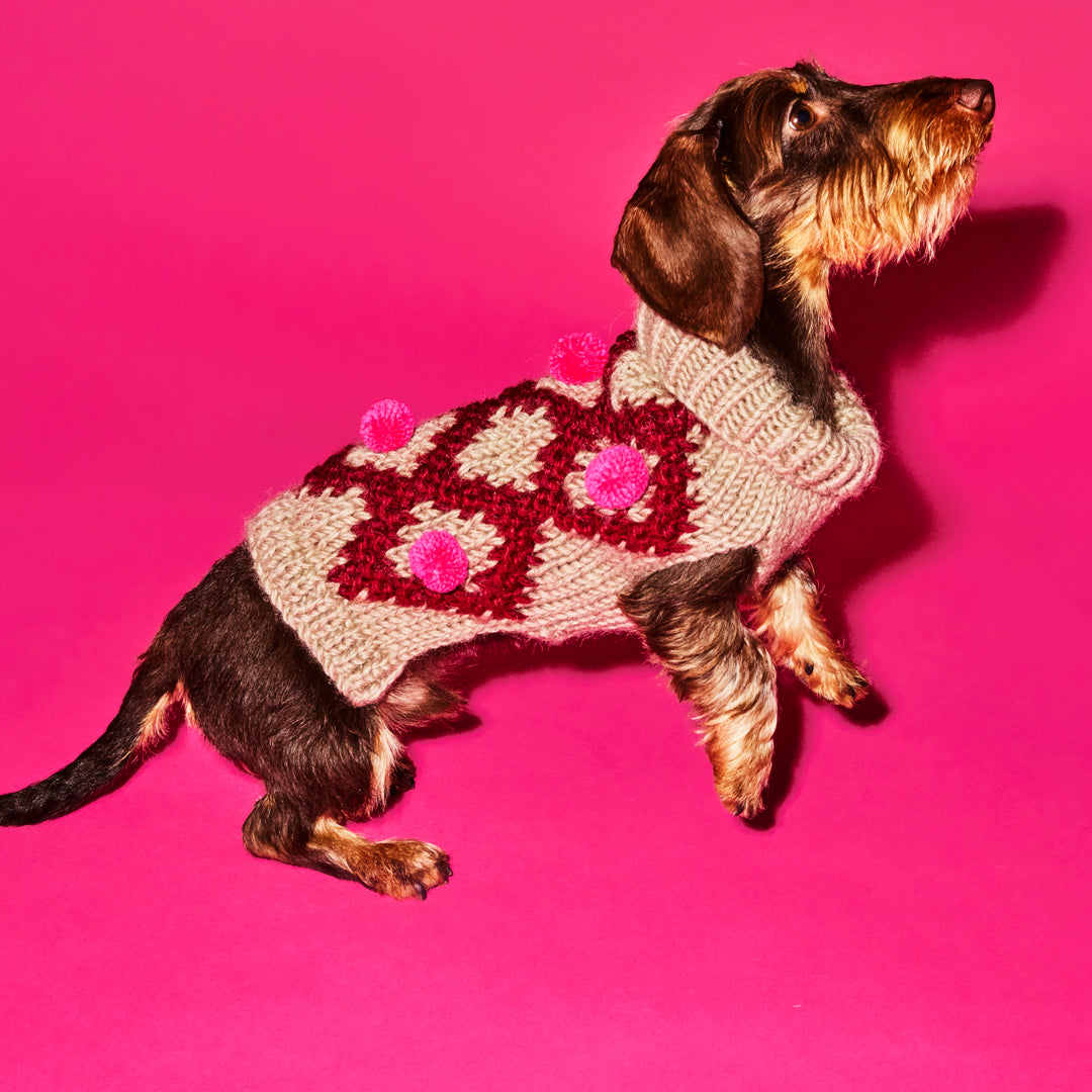 Knitted Burgundy and Pink Pom Pom Sweater for Dogs
