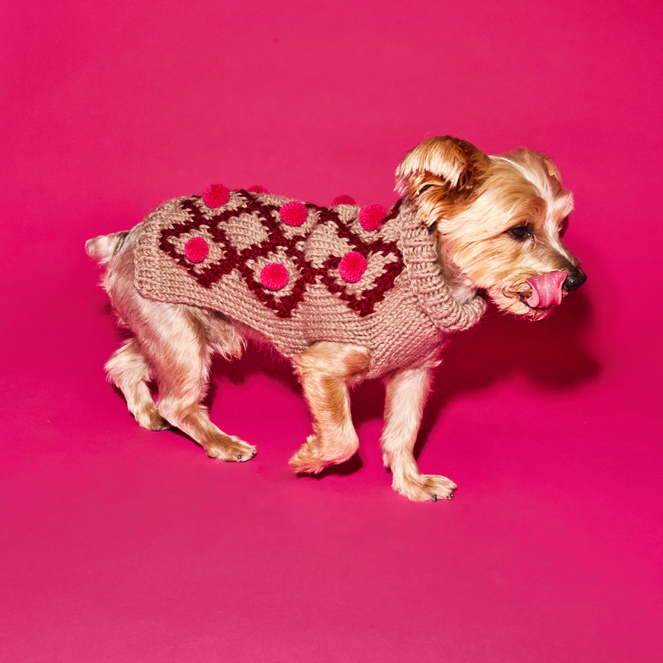 Knitted Burgundy and Pink Pom Pom Sweater for Dogs