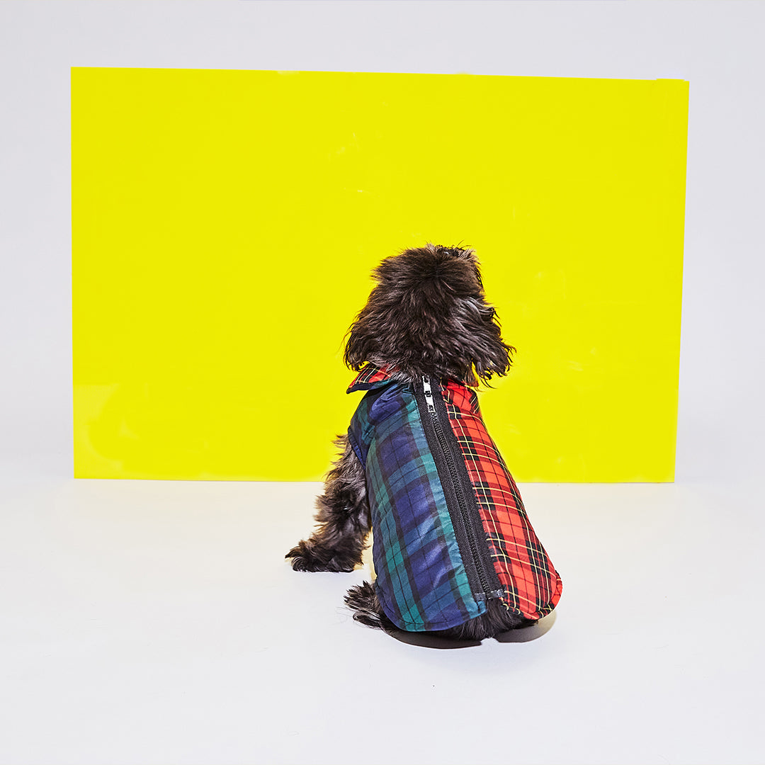 Two Tone Plaid Puffer Jacket for Dogs