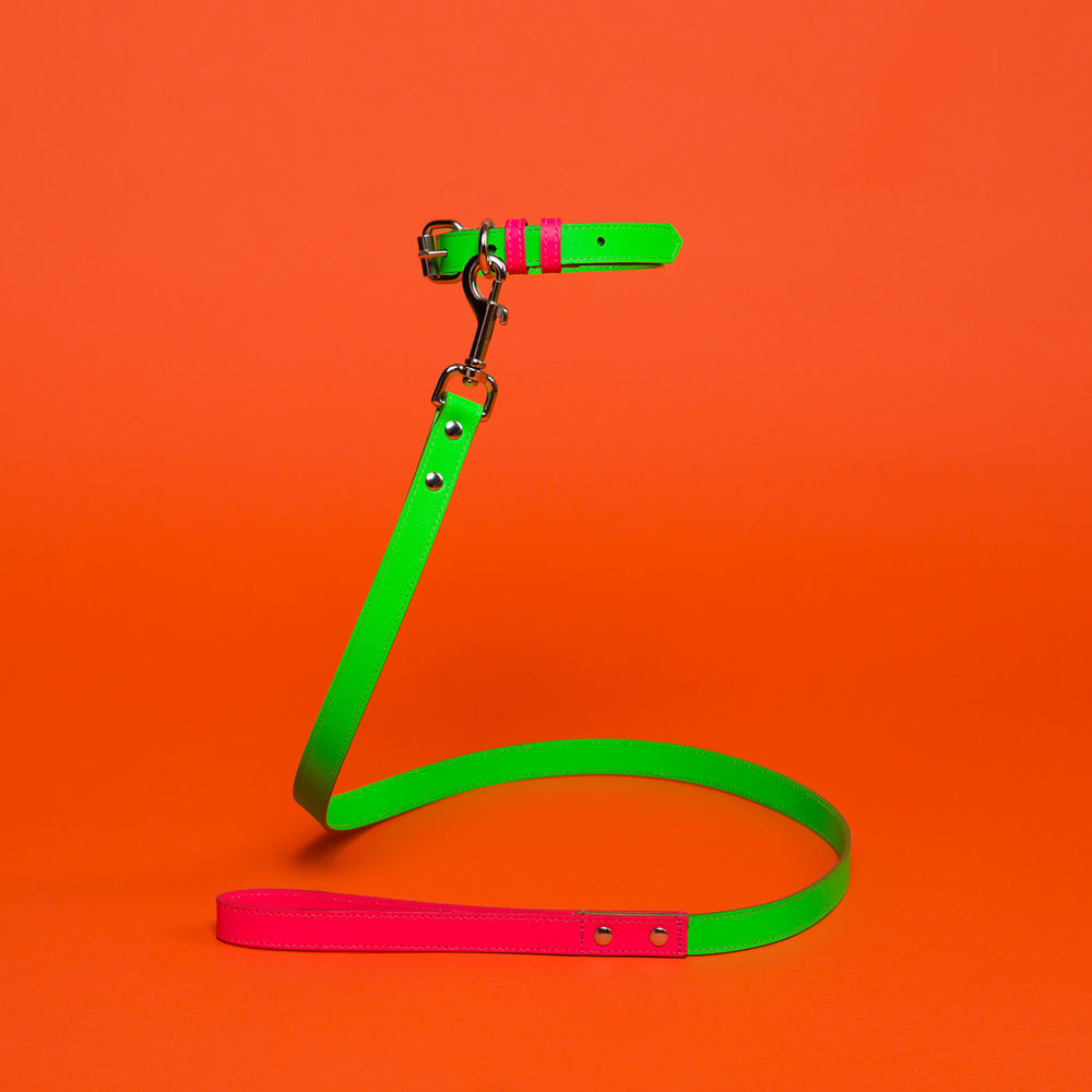 Green and Pink Leather Leash