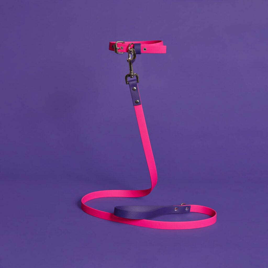 Pink and Purple Waterproof Leash