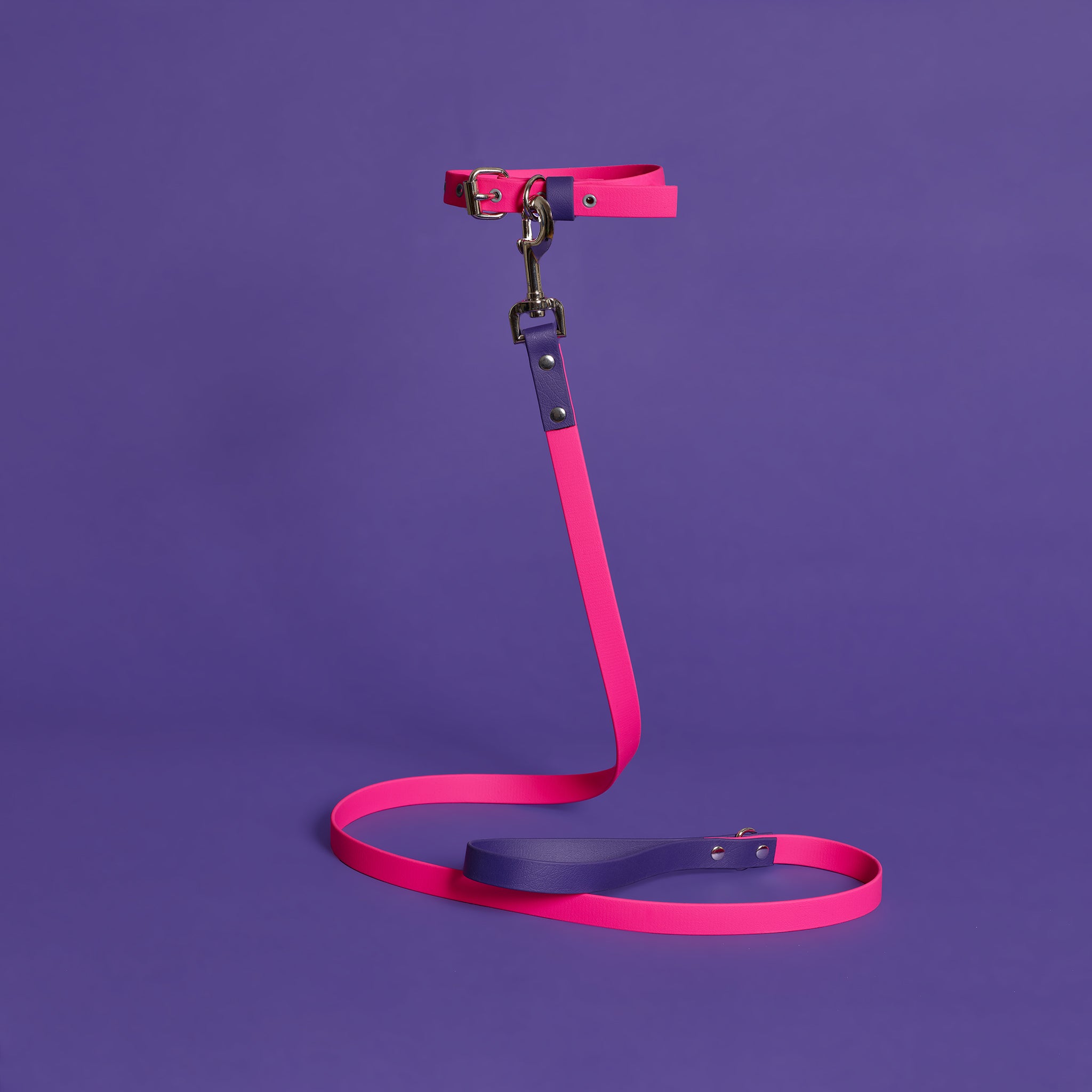 Pink and Purple Waterproof Leash