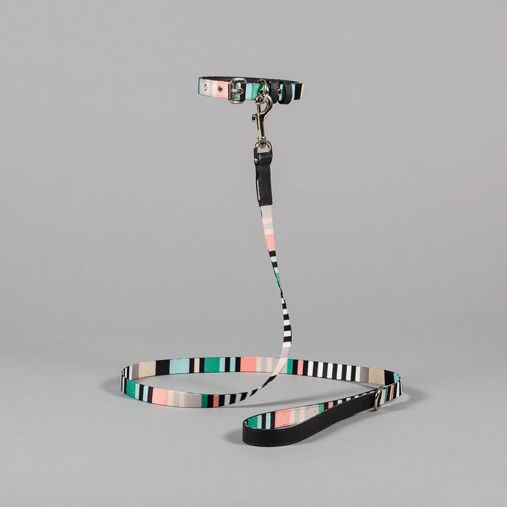 Green and Charcoal Striped Webbing Leash