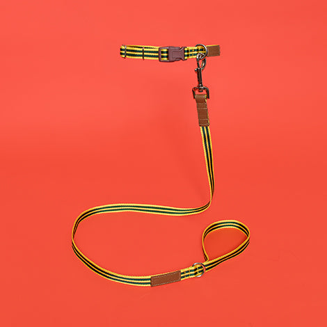 Yellow and Green Striped Webbing Leash