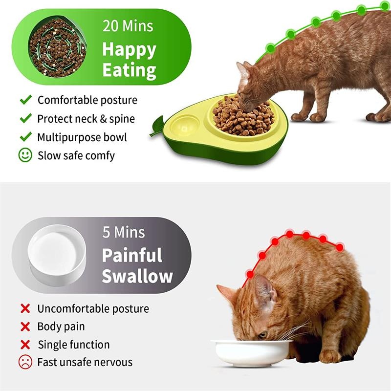 Avocado Pet Water Bottle and Feeder - Image 6