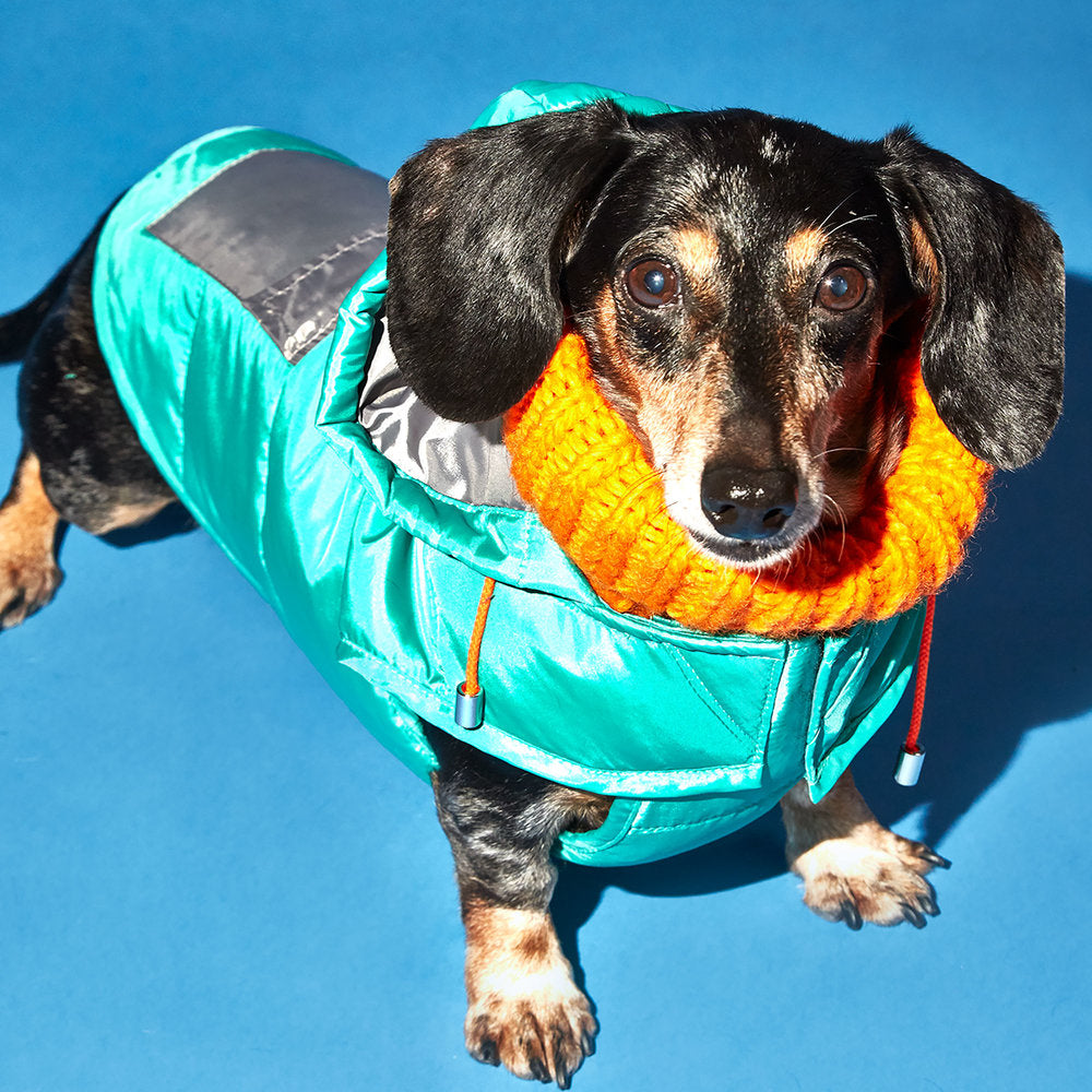 Seafoam and Grey Color Block Nylon Puffer Jacket