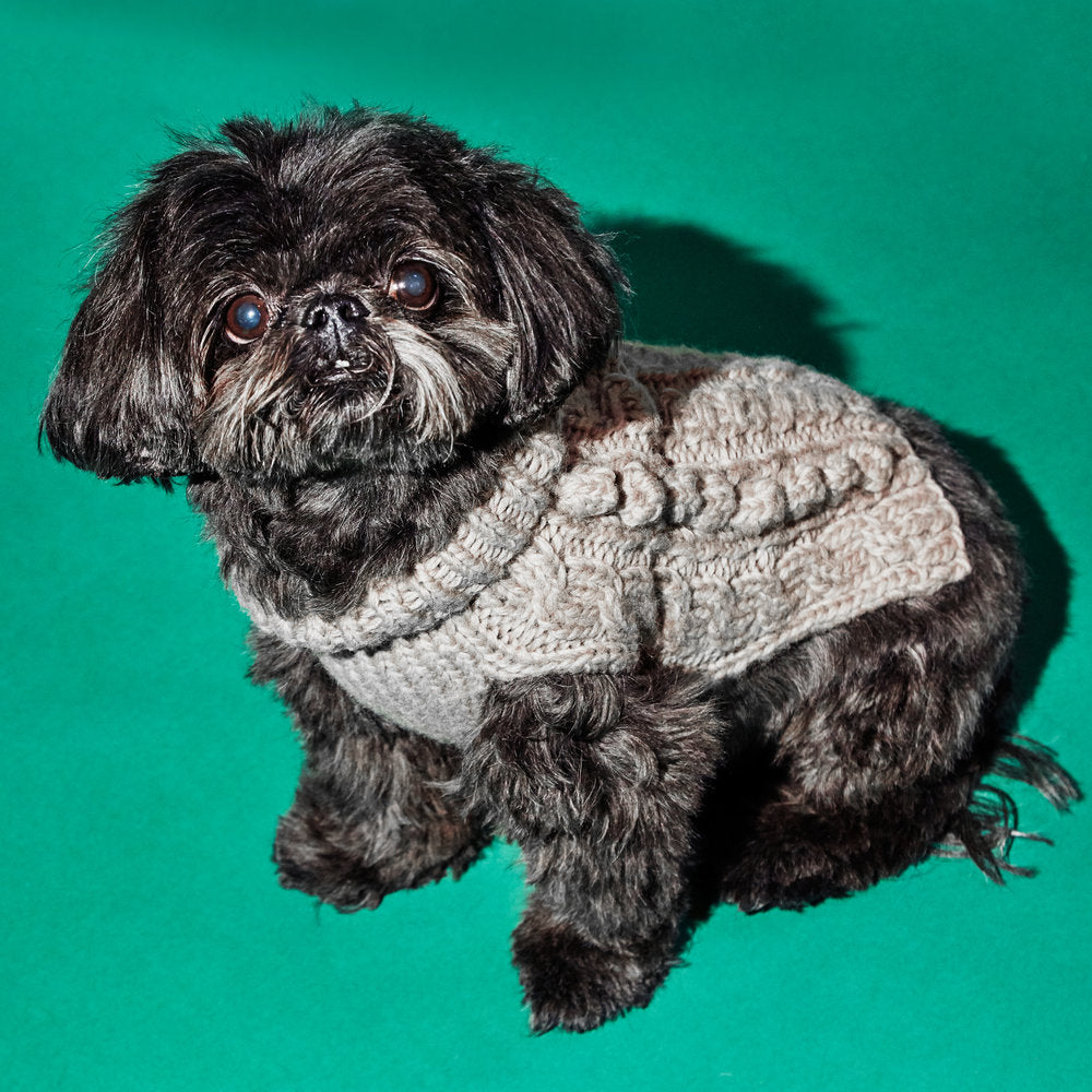 Cable Knit Bobble Turtleneck Natural for Dogs