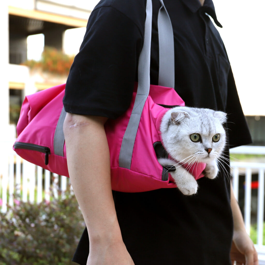 Double Lined Anti-Scratch Pet Travel Bag
