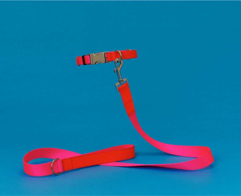 Pink and Orange Nylon Leash