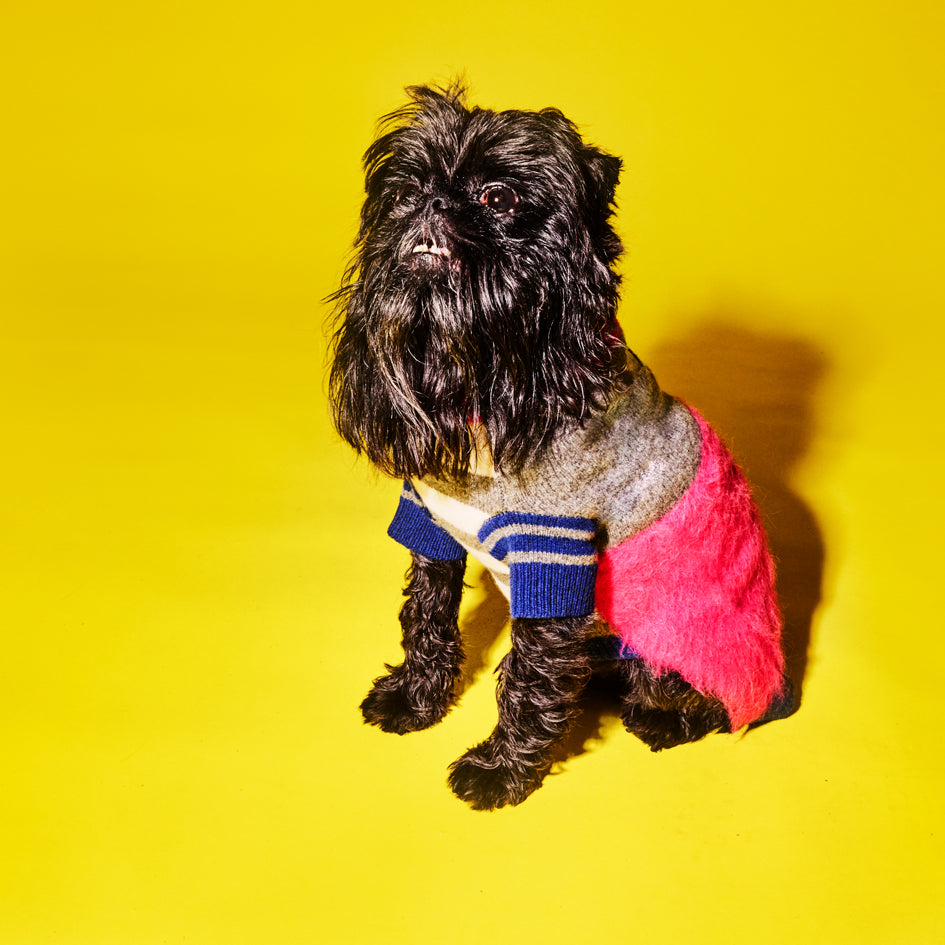 Pink and Grey Textured Stripe Sweater for Dogs
