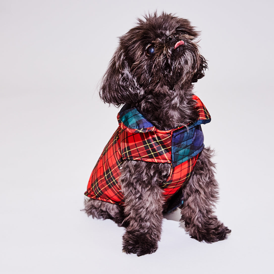 Two Tone Plaid Puffer Jacket for Dogs