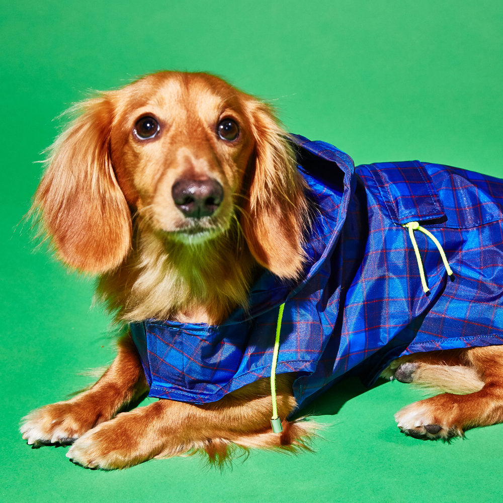 Purple and Multi Plaid Anorak Raincoat for Dogs