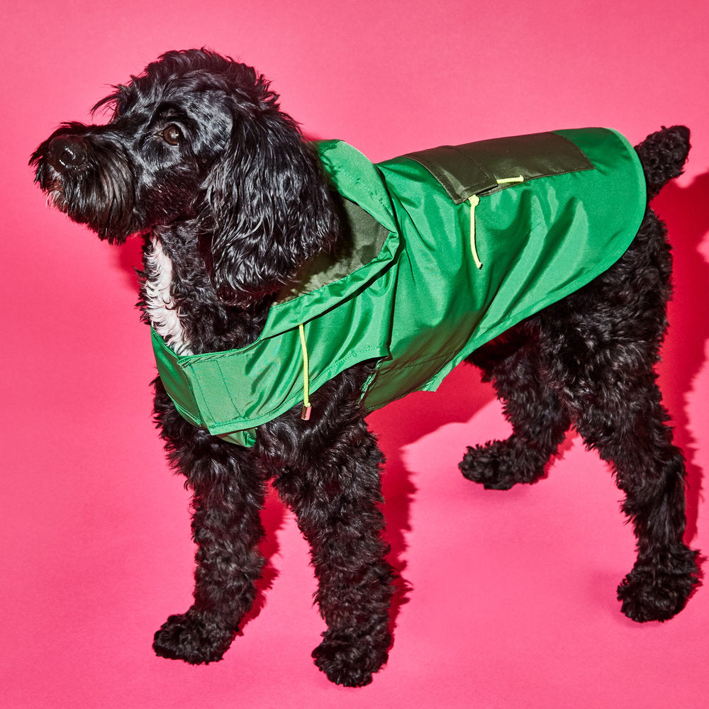 Green and Olive Color Block Anorak Raincoat for Dogs
